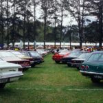A vibrant gathering of classic cars displayed in a park under tall trees, with a bustling crowd in the background.
